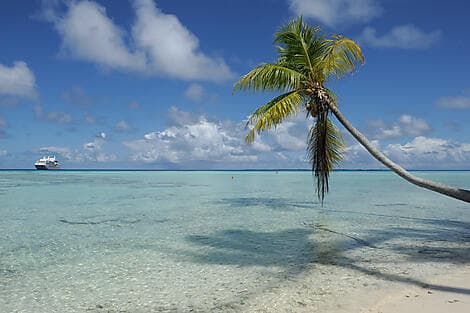14 Nov 26 - Fakarava, îles Tuamotu