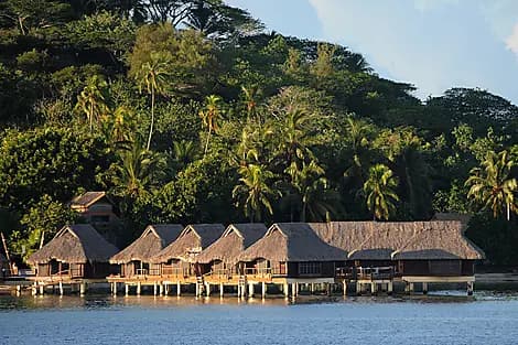 1 Nov 26 - Papeete, île de Tahiti 