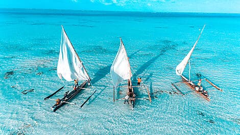 14 Févr 26 - Zanzibar