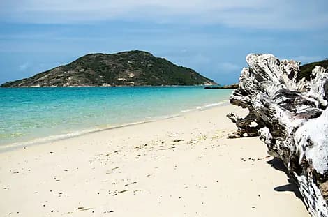 8 Oct 25 - Lizard Island