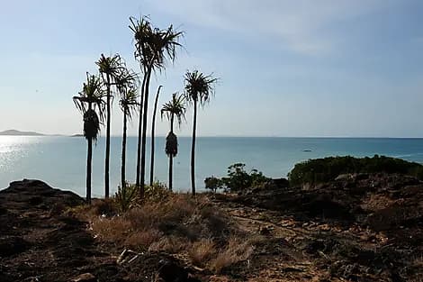 10 Oct 25 - Cape York
