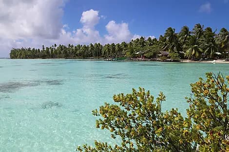 4 Nov 26 - Rangiroa, îles Tuamotu