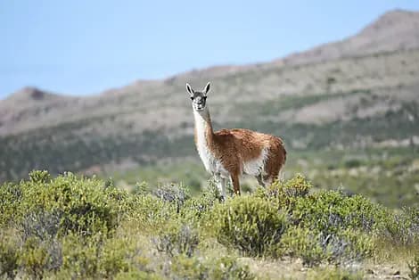 8 Nov 25 - Puerto Madryn