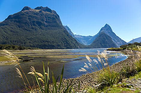 1 Janv 26 - Milford Sound