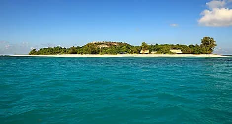 26 Janv 26 - Île Cousin