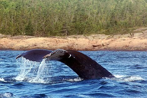 17 Sept 27 - Rigolet