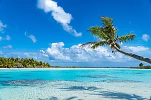 Demi-journée à la plage de Teahatea