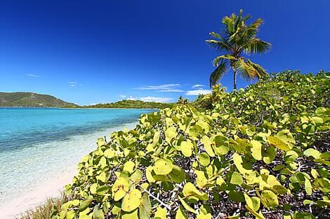 17 Mars 27 - Beef Island