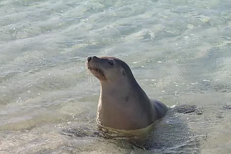 9 Août 26 - Parc marin de Jurien Bay