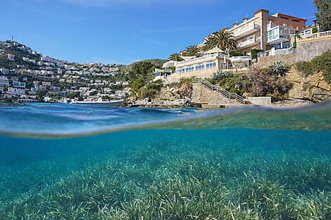 11 Août 27 - Rosas