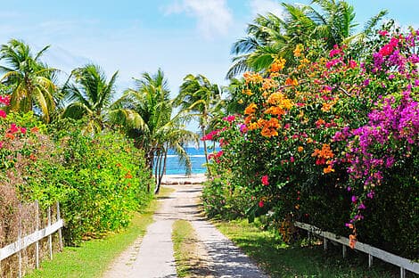 27 Janv 26 - Charlestown, Nevis
