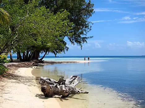 19 Déc 25 - Water Caye
