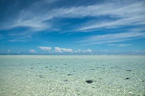 4 Févr 26 - Atoll Saint-François