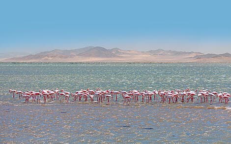 7 Déc 26 > 8 Déc 26 - Walvis Bay