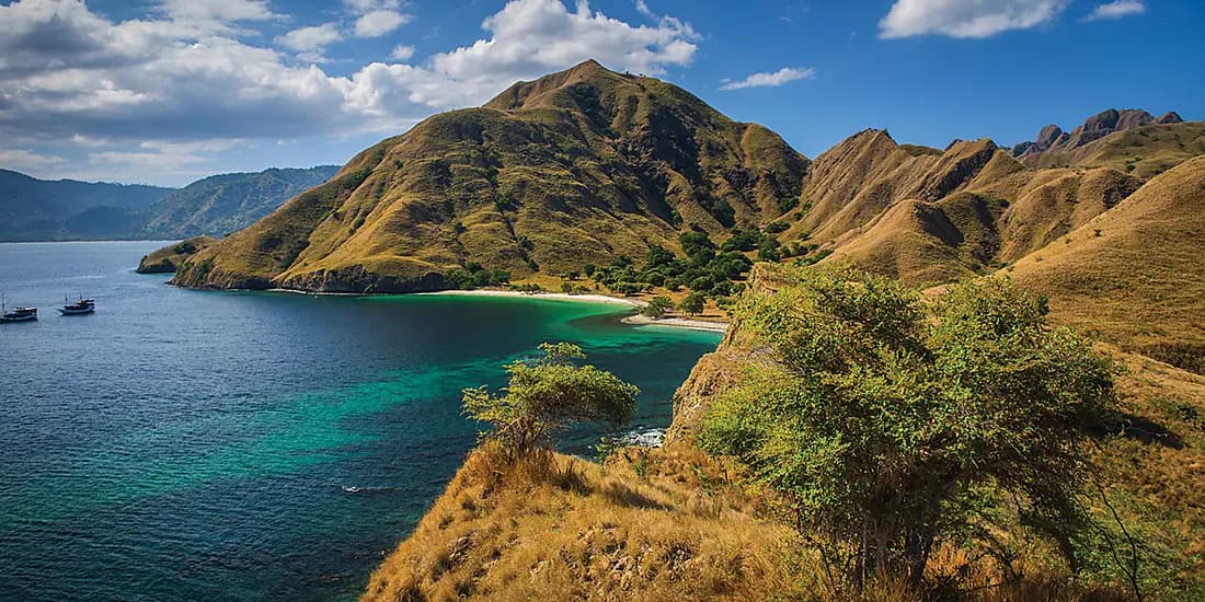 Odyssée tropicale entre nord-est australien et Indonésie