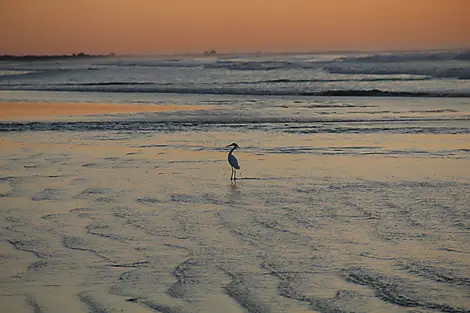 19 Mars 27 - Rio Grande