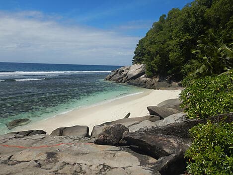 5 Févr 26 - Île Moyenne