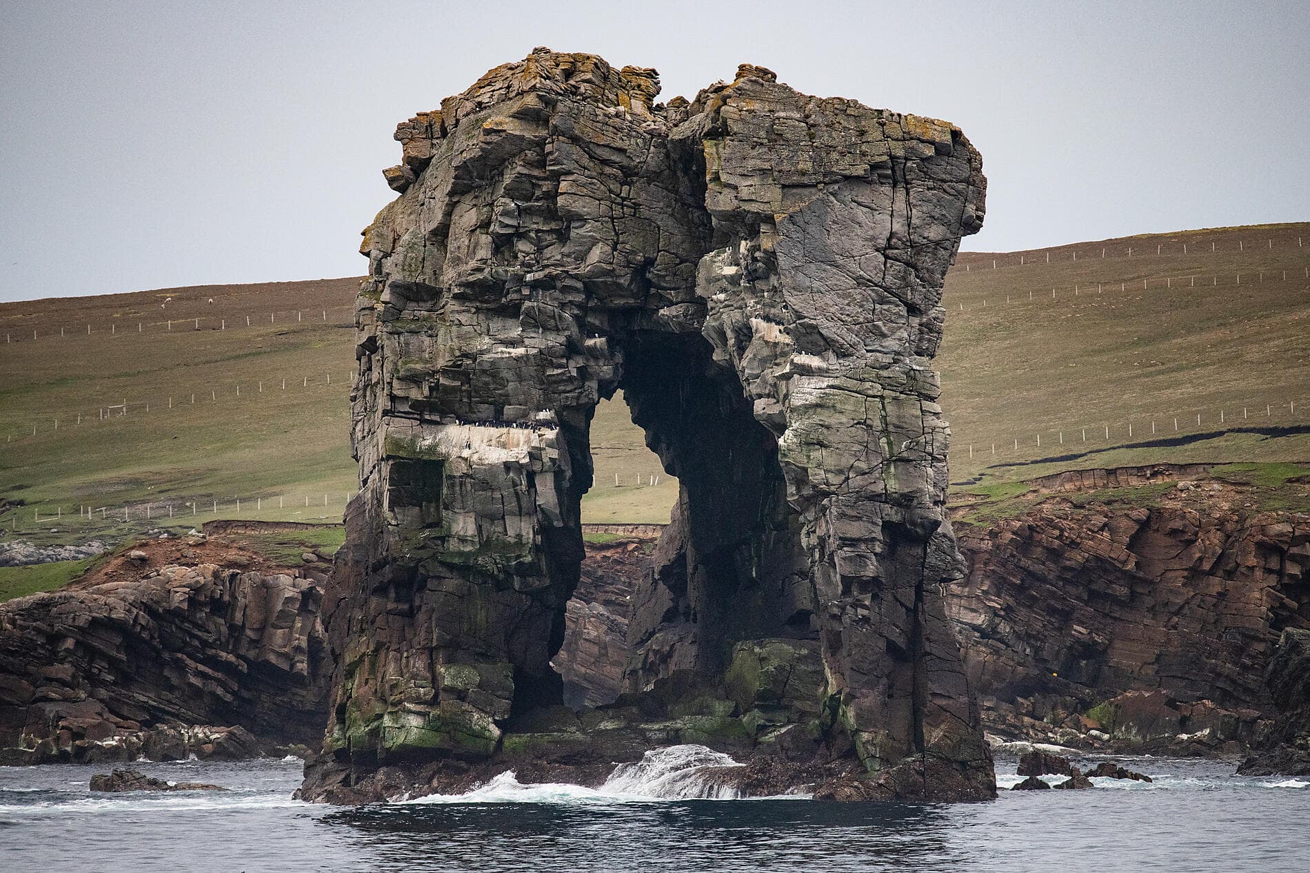 Archipels sauvages de l’Atlantique Nord  