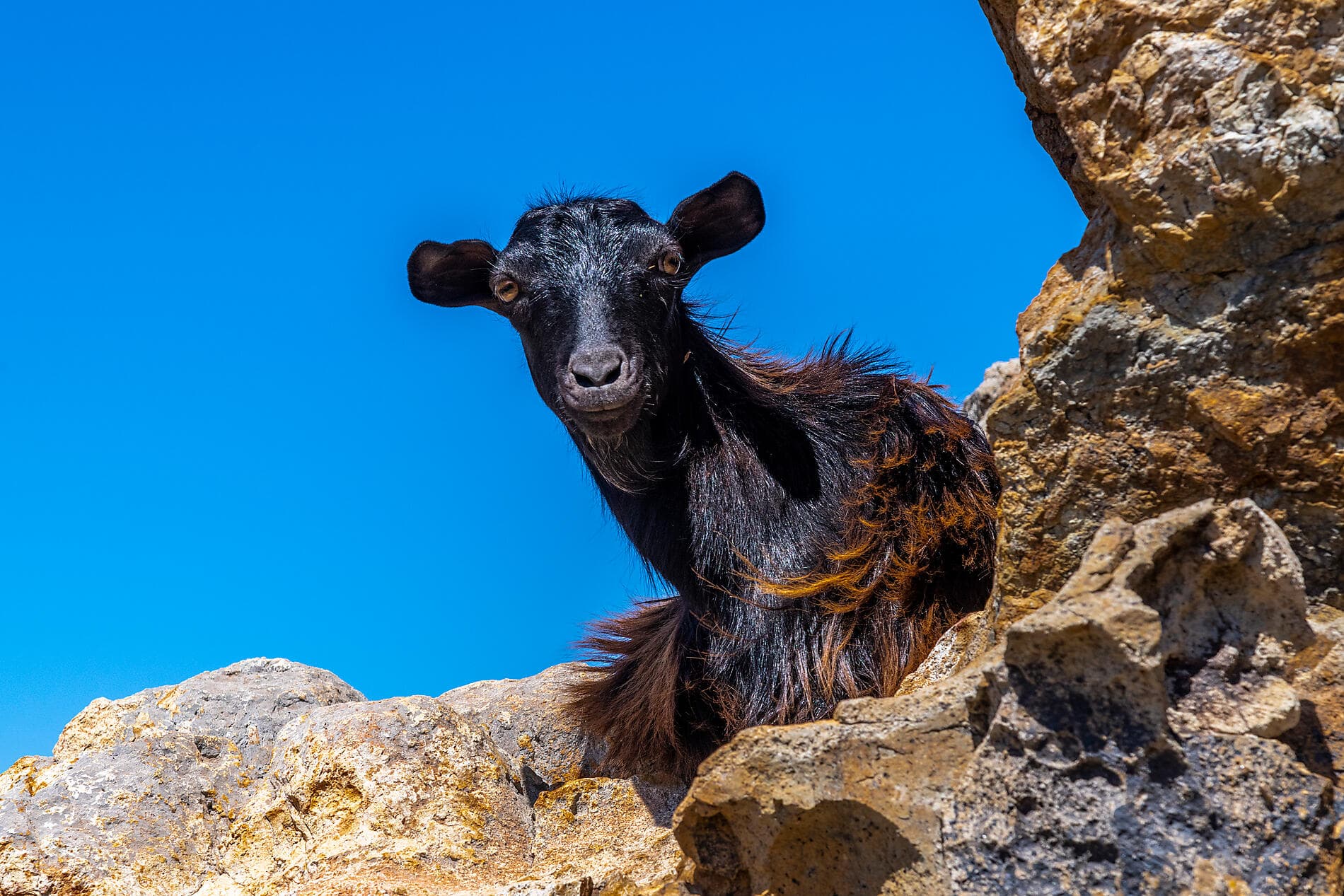 Le Ponant d’île en île, d’Athènes à Dubrovnik