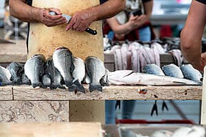 Catane, street food, marché aux poissons